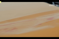 blachmed_wystepy-w-tv_17